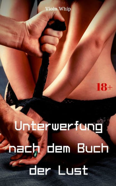 Unterwerfung nach dem Buch der Lust: BDSM Story