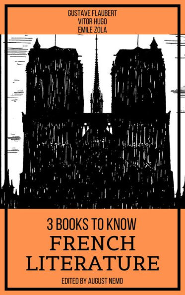 3 Books To Know French Literature by Gustave Flaubert, Victor Hugo ...