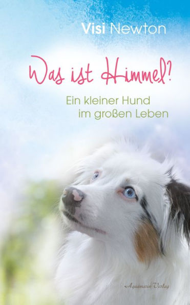 Was ist Himmel? Ein kleiner Hund im großen Leben