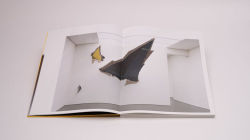 Alternative view 2 of Felix Schramm: Things To Come