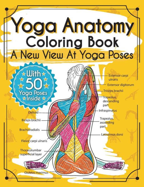 Yoga Anatomy Coloring Book: A New View At Poses