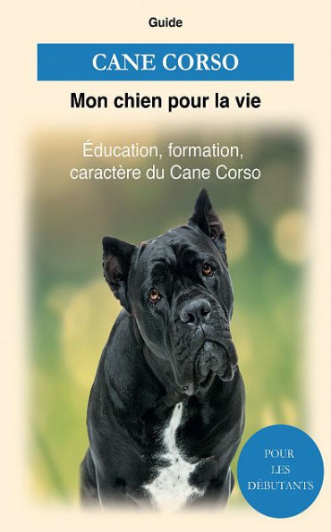 Cane Corso: Éducation, formation, caractère du Cane Corso