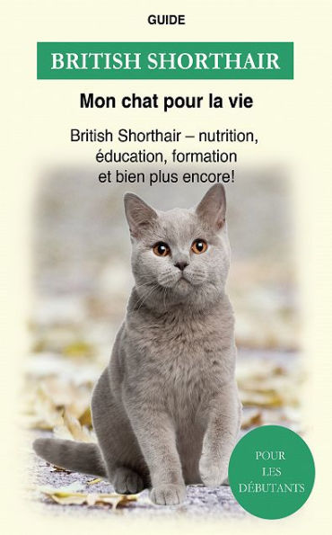 British Shorthair: British Shorthair - nutrition, éducation, formation et bien plus encore !