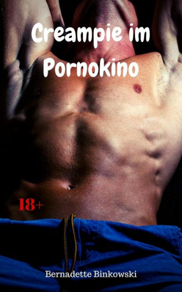 Creampie im Porno-Kino: Perverse Gay Story