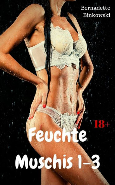 Feuchte Muschis 1-3: Versauter Sex Sammelband