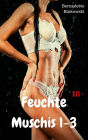 Feuchte Muschis 1-3: Versauter Sex Sammelband