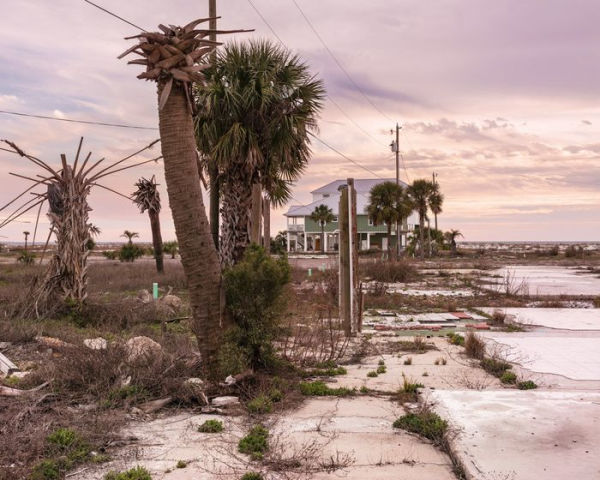 Anastasia Samoylova & Walker Evans: Floridas