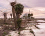 Alternative view 6 of Anastasia Samoylova & Walker Evans: Floridas