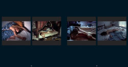 Alternative view 3 of Nan Goldin: This Will Not End Well