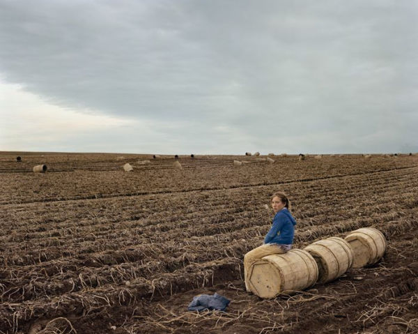 Joel Sternfeld: American Prospects: Non Plus Ultra Edition