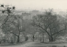 Alternative view 11 of Ralph Ellison: Photographer