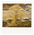 Alternative view 6 of Ralph Ellison: Photographer