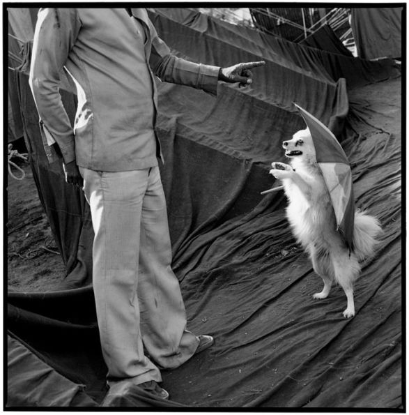 Mary Ellen Mark: Indian Circus