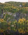 Alternative view 3 of Mitch Epstein: Old Growth