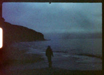 Alternative view 2 of Michael Ackermann & Jem Cohen: Visitors