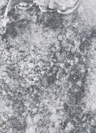 Downloading a book from google books for free Roni Horn: A Dream Not Dreamt 9783969993972