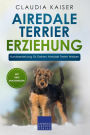 Airedale Terrier Erziehung: Hundeerziehung für Deinen Airedale Terrier Welpen