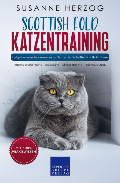 Scottish Fold Katzentraining - Ratgeber zum Trainieren einer Katze der ...