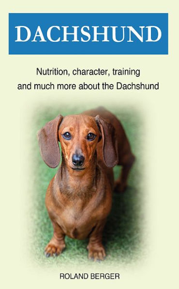 Dachshund: Nutrition, character, training and much more about the Dachshund