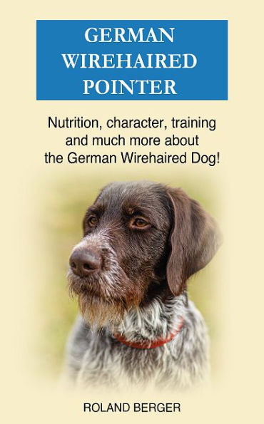 German Wirehaired Pointer: Nutrition, character, training and much more about the German Wirehaired Dog