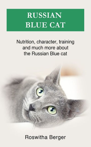 Russian Blue cat: Nutrition, character, training and much more about the Russian Blue cat