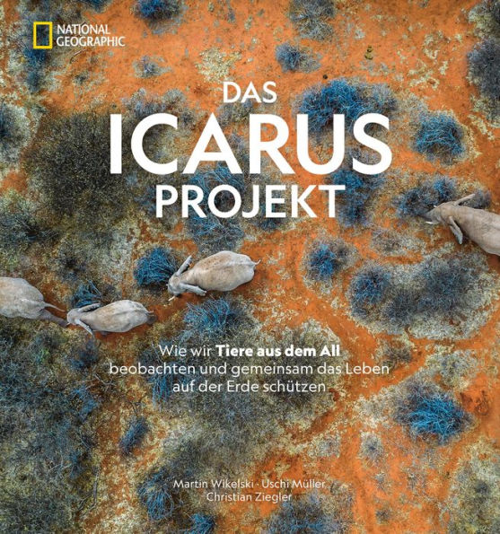 Das ICARUS Projekt: Wie wir Tiere aus dem All beobachten und gemeinsam das Leben auf der Erde schützen