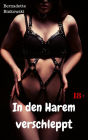 In den Harem verschleppt: BDSM Story