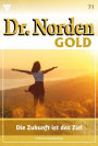Die Zukunft ist das Ziel: Dr. Norden Gold 71 - Arztroman