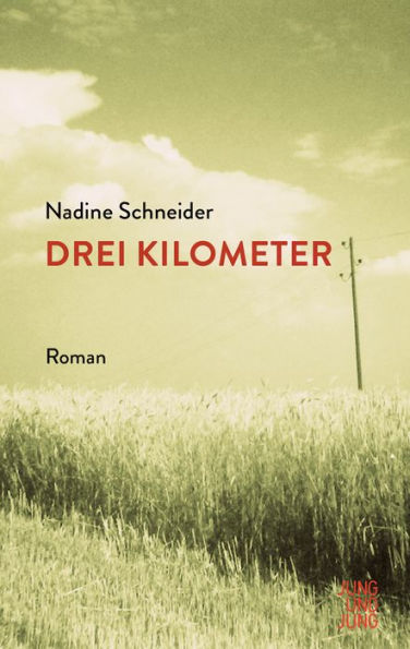 Drei Kilometer: Roman