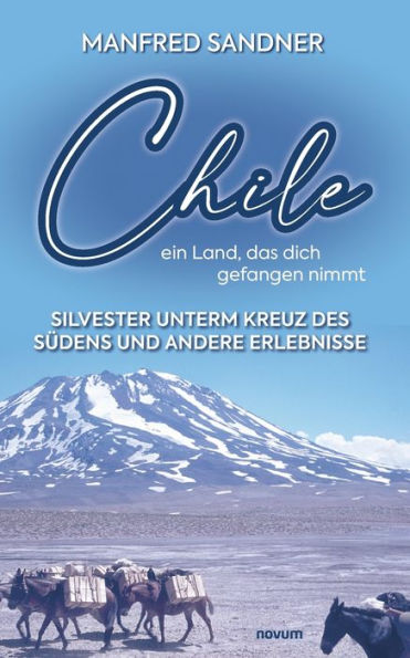 Chile - ein Land, das dich gefangen nimmt: Silvester unterm Kreuz des Sï¿½dens und andere Erlebnisse