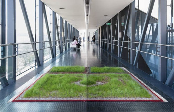Ingrid Wiener, Martin Roth: From Far Away You See More