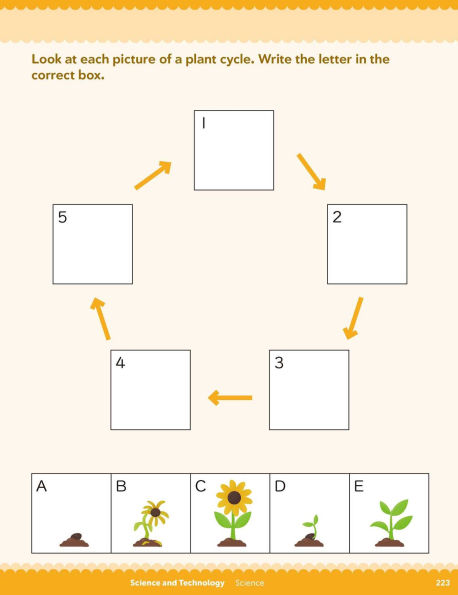 Play Smart BIG First Grade Workbook: 256 pages, Ages 6 to 7