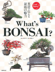 Title: What's BONSAI?, Author: Trygve Wiese