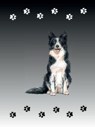 Title: Border Collies, Author: Jade Sharman