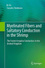 Myelinated Fibers and Saltatory Conduction in the Shrimp: The Fastest Impulse Conduction in the Animal Kingdom