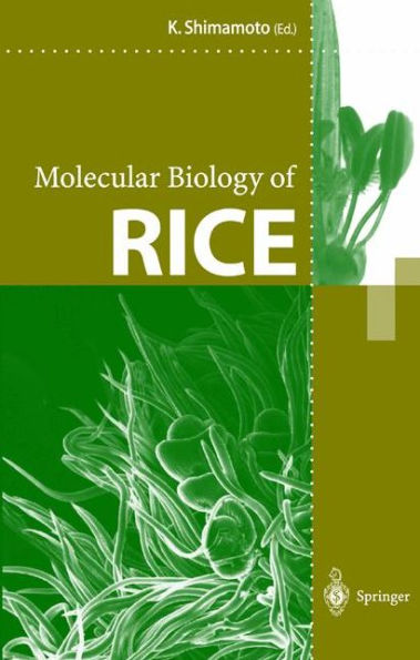 Molecular Biology of Rice / Edition 1