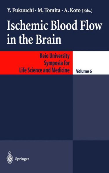 Ischemic Blood Flow in the Brain / Edition 1