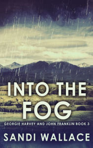 Title: Into The Fog, Author: Sandi Wallace