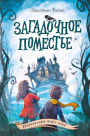 Zagadochnoe pomest'e
