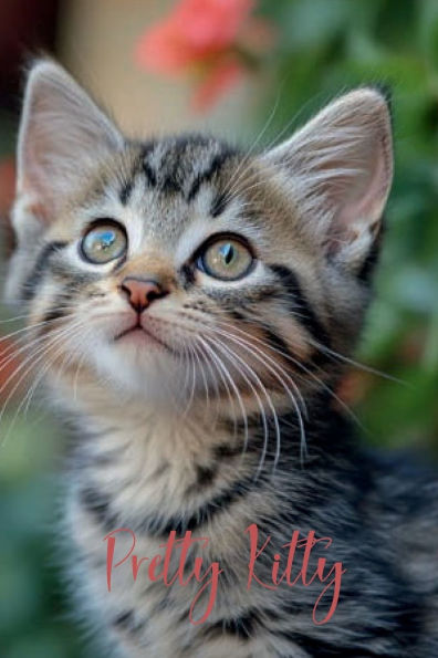 Pretty Kitty: notebook