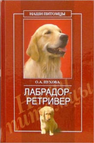 Title: Labrador retriver, Author: Olesya Aleksandrovna Puxova