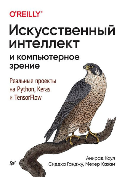 Iskusstvennyy intellekt i komp'yuternoe zrenie. Real'nye proekty na Python, Keras i TensorFlow