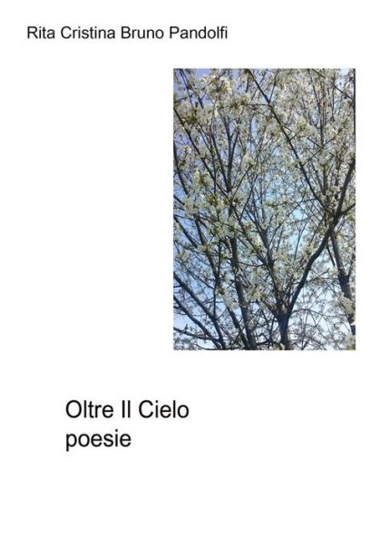 Oltre il cielo