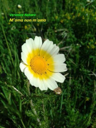 Title: M'ama non m'ama, Author: Veronica Notaro