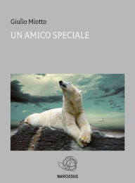 Title: Il mio amico Aran, Author: Miotto Giulio