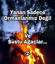 Title: 2.VE Sustu AGACLAR, Author: Bengul Dedeoglu