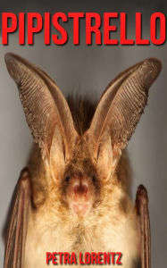 Pipistrello