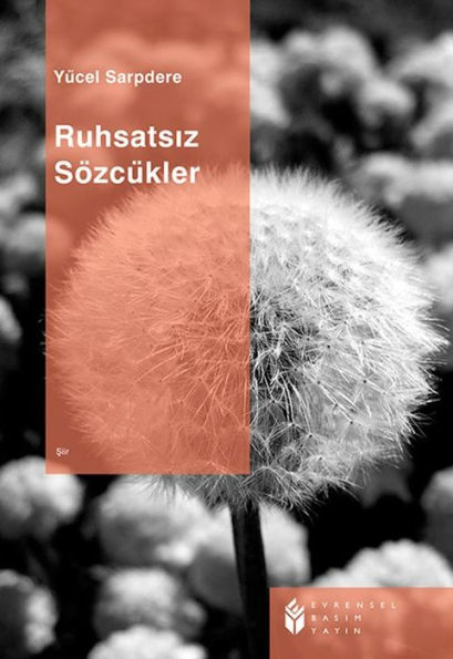 Ruhsatsiz Sözcükler