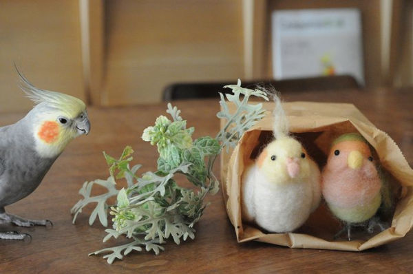 Cute Birds to Make with Needle Felting: 35 Clearly Explained Projects with  Step by Step Instructions