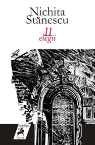 Title: 11 elegii, Author: Stefan Pluschkat